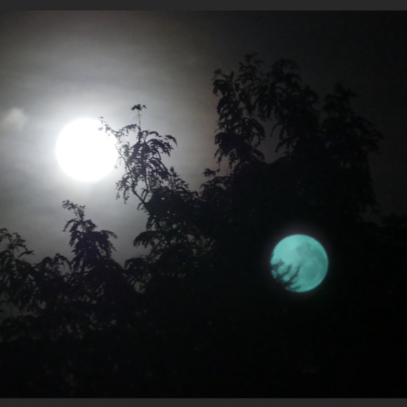 Meet the Posher Other - Meet your Posher, Johnny